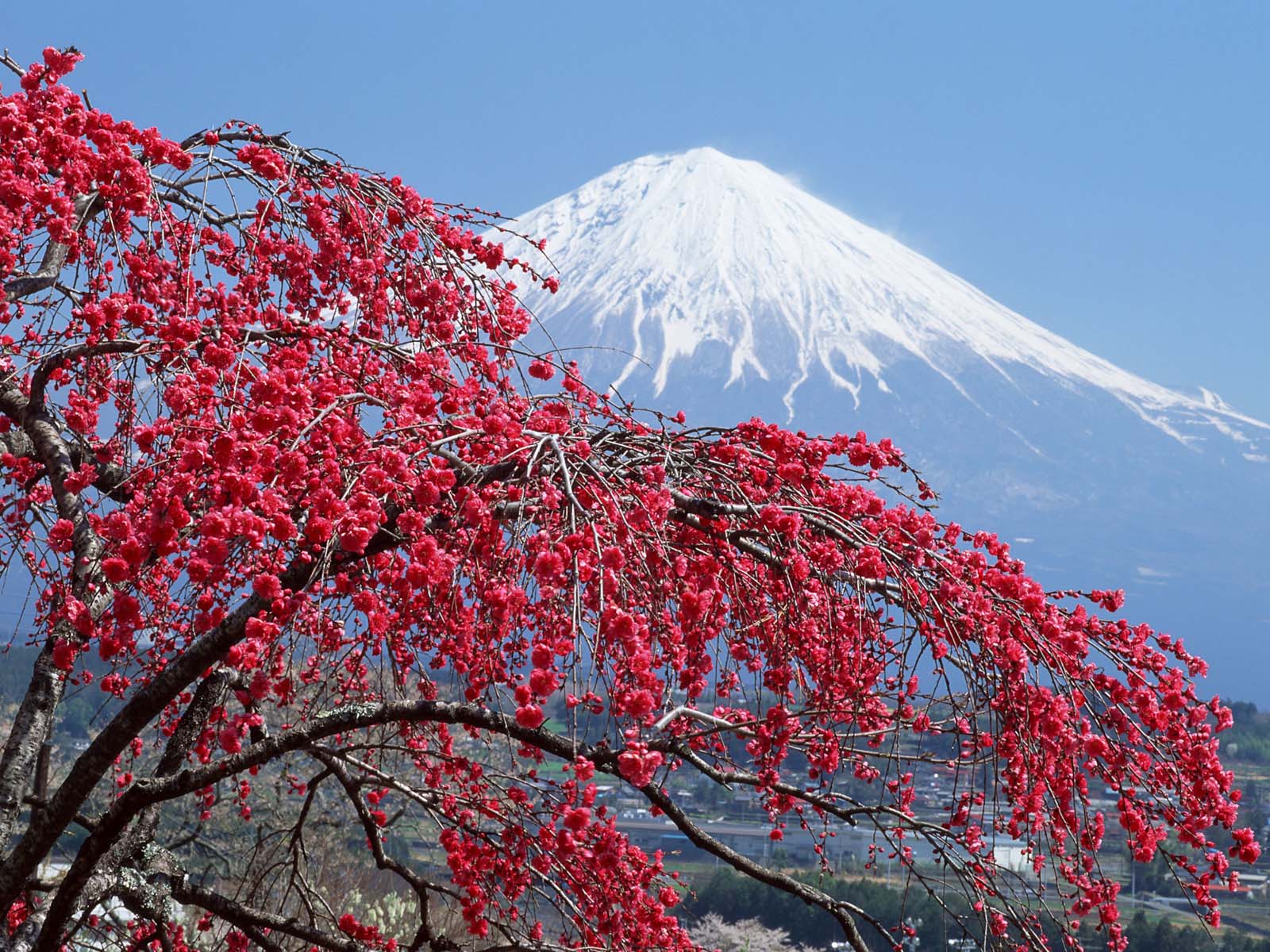 جبل فوجي Mount-fuji-wallpapers-9