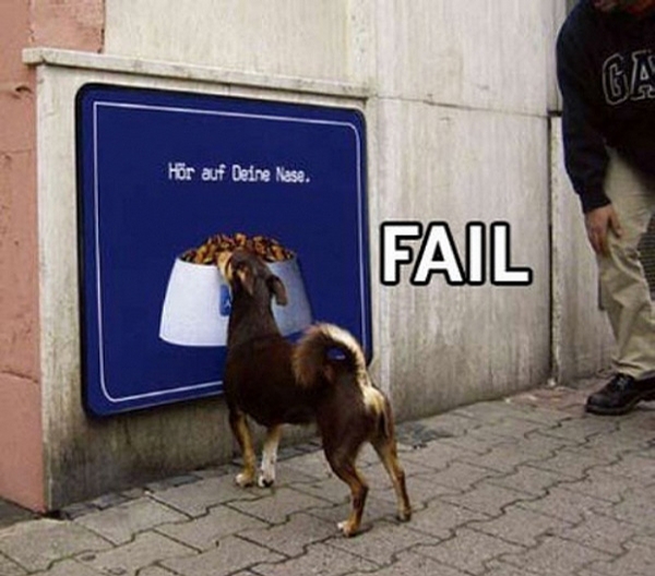 Funny Pictures... - Page 3 2340-dog-food-fail