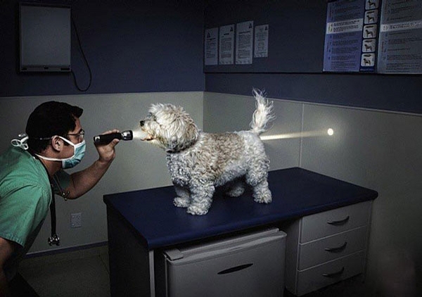Funny Pictures... - Page 3 2393-flashlight-checkup