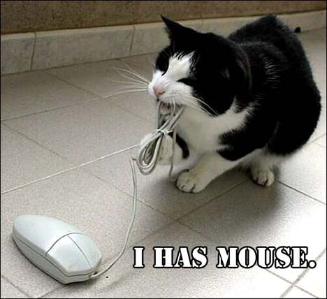 Funny pictures ... ... - Page 29 I_Has_Mouse