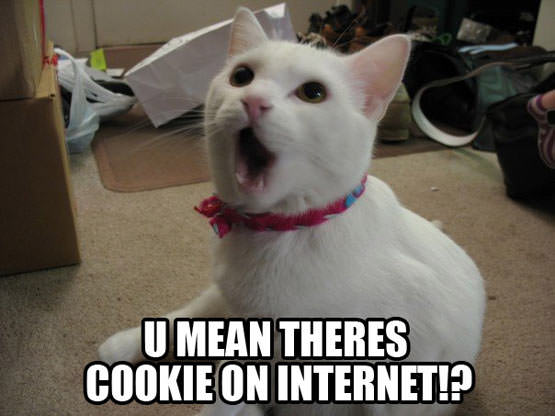 I can has cookies? Internet_cookies1