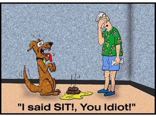 Αστείες εικόνες - Σελίδα 2 Funny-dog-cartoon-i-said-sit