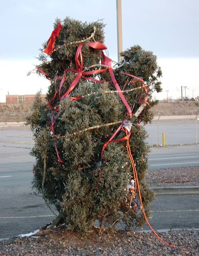 Christmas Trees! Funny_christmas_picture_1