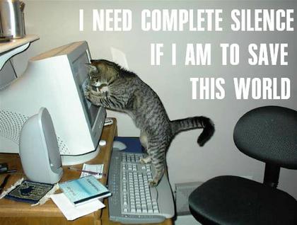 This forumz needz moar... Funny_cat_pictures_084