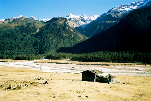 Himalayan Beauty Yumthang
