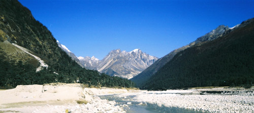 Himalayan Beauty Yumthangnorth