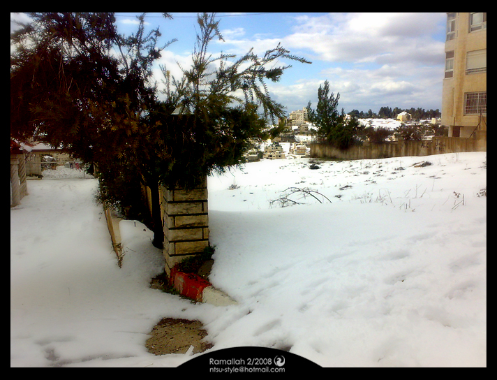 صور الثلوج في رام الله والبيرة فلسطين 6