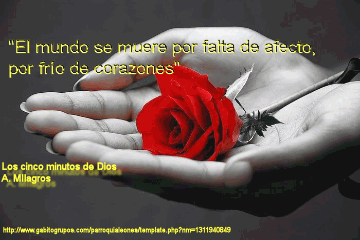  CITAS CELEBRES, DESMOTIVACIONES...... - Página 11 M-r-e