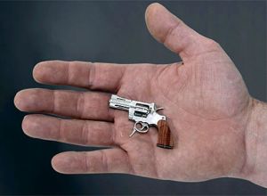 Longest and Shortest Human/Animals Worlds_smallest_handgun