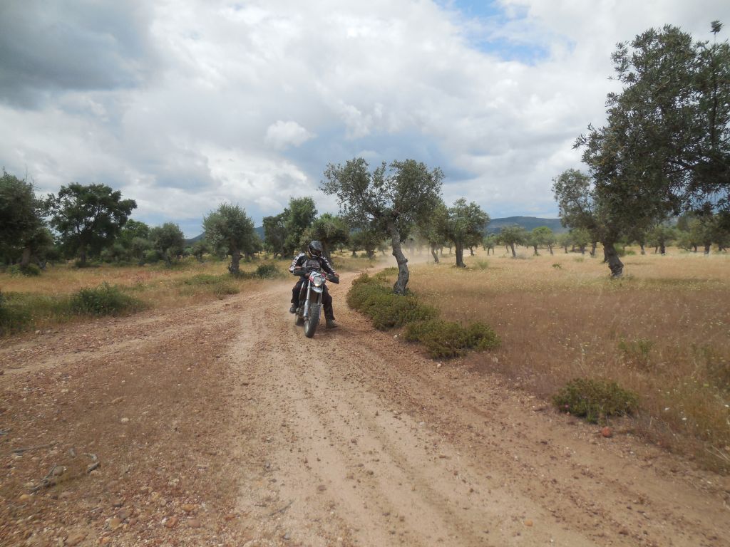 transportugal dia 3. Castelo de Vide-Sabugal 49