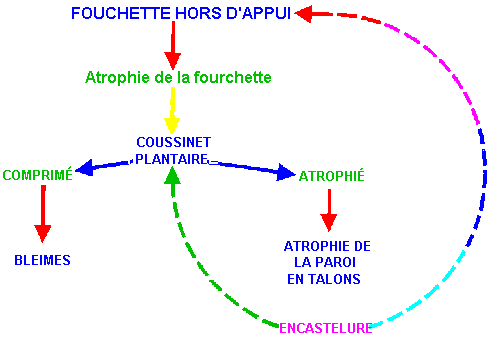 Les méfaits du ferrage Fourchette_appui