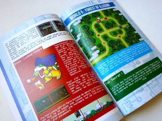 Le Guide Super Mario World GuideSMW111