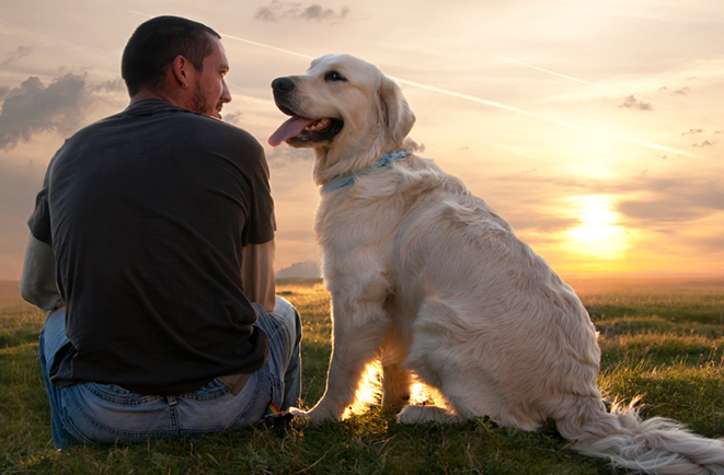 New Year’s Resolutions and Checklist for Pet Owners Man-and-dog