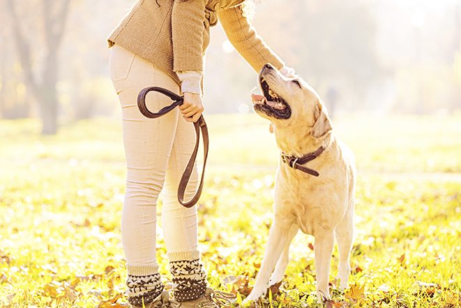 New Year’s Resolutions and Checklist for Pet Owners Woman-dog-leash