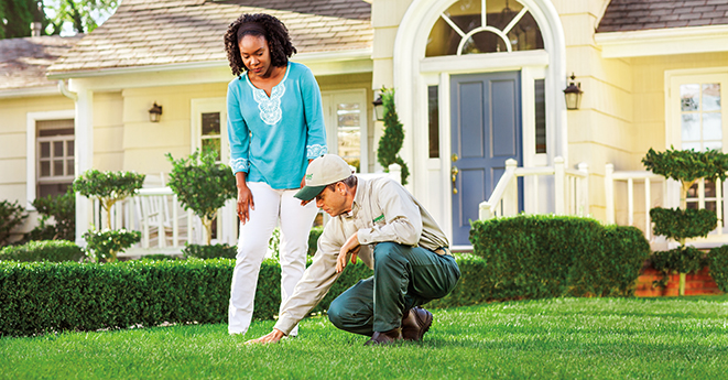 Spring Lawn Aeration Tips Lawn-Consult