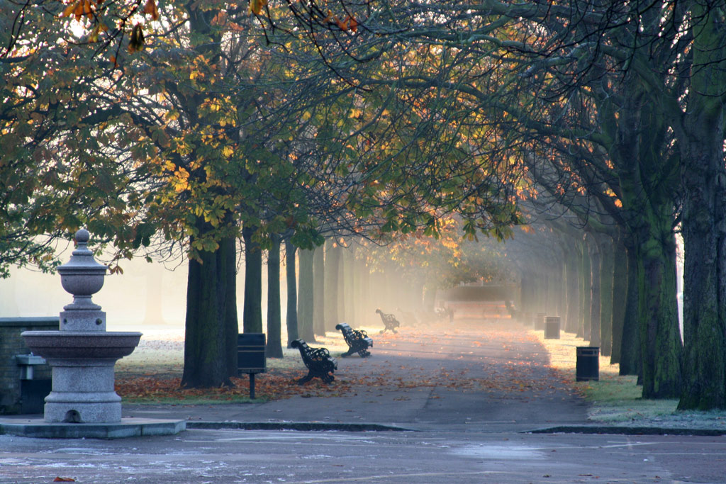 Greenwich Park Greenwich_park_london_600x