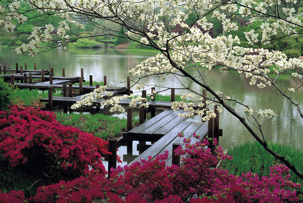 vrt Missouri_japanese_garden_600x