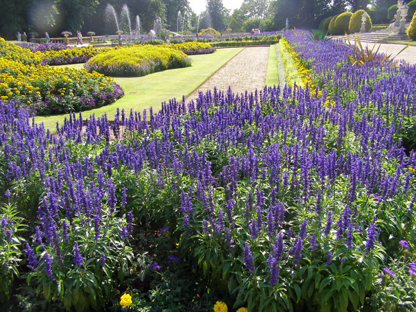 Before school Waddesdon_manor_bedding_original