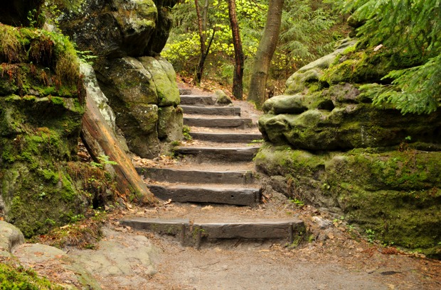 Steintreppe Moos-treppe