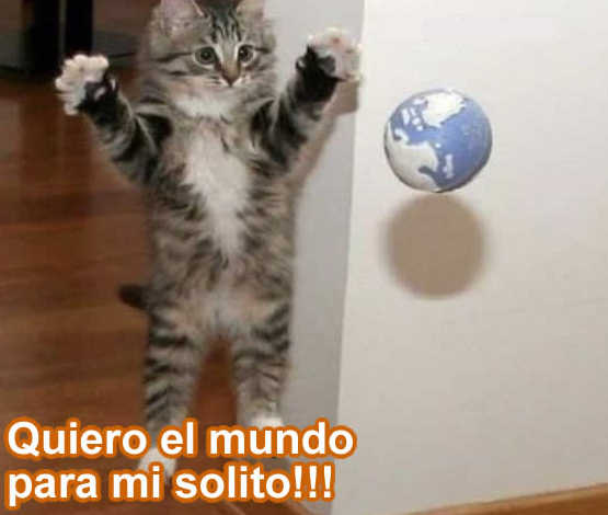 La imagen cachonda del dia! - Página 13 El-gato-y-el-mundo1