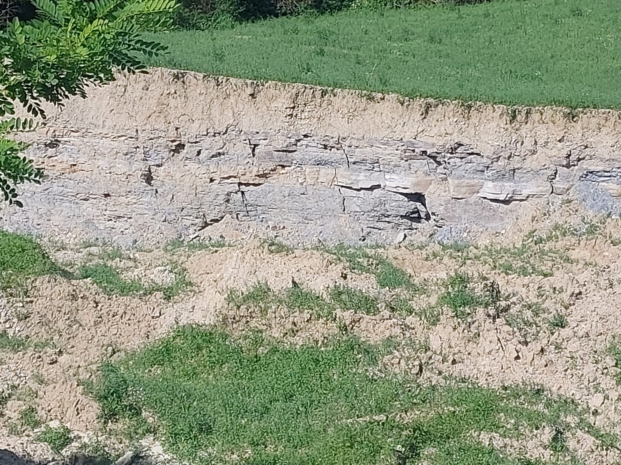 Alluvione in Romagna e bolognese orientale: qui tutte le storie 35