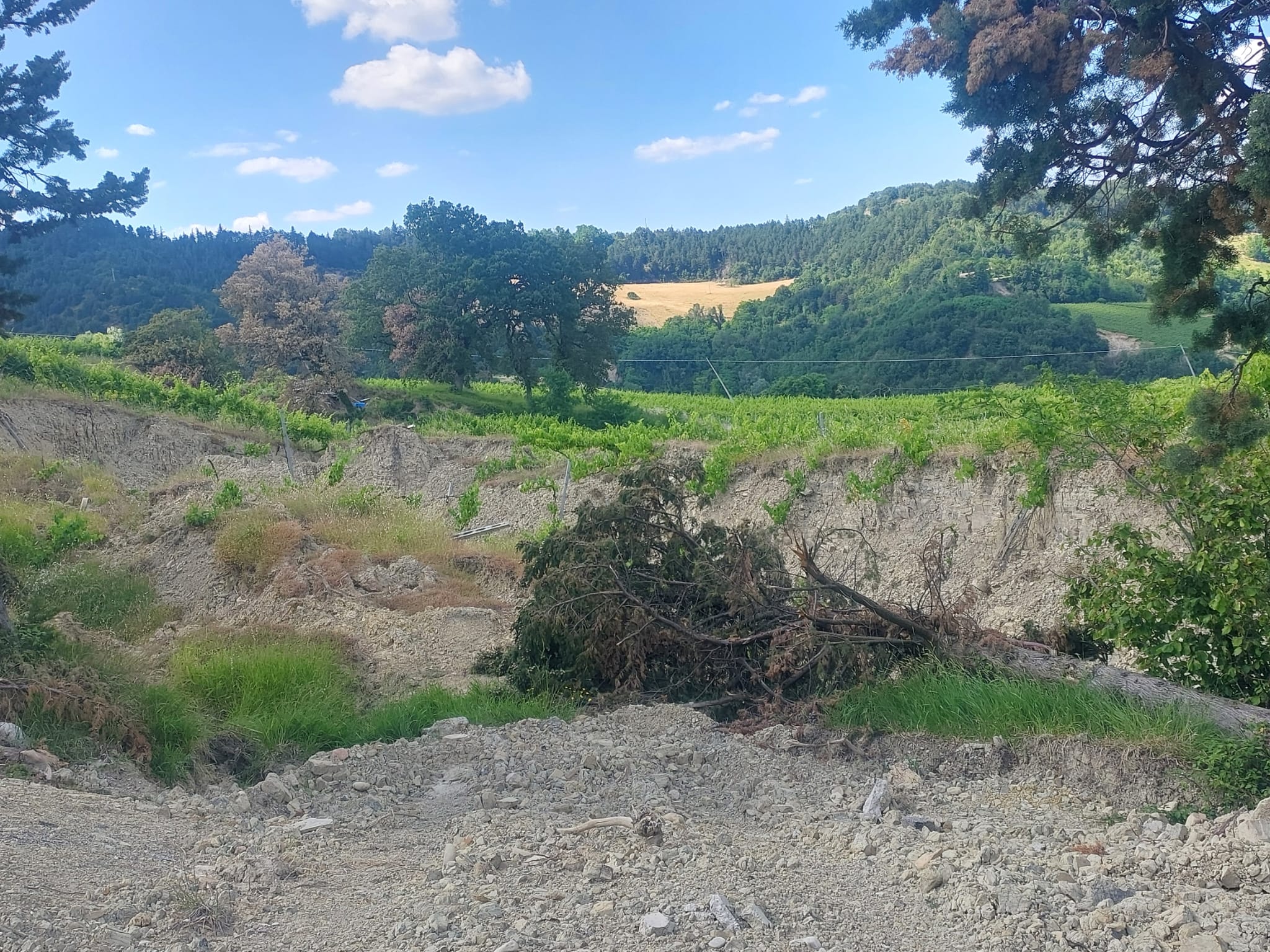 Alluvione in Romagna e bolognese orientale: qui tutte le storie 38