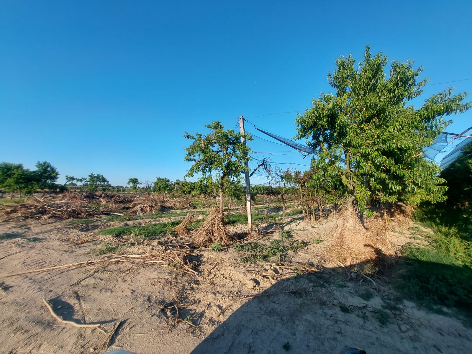 Alluvione in Romagna e bolognese orientale: qui tutte le storie 58