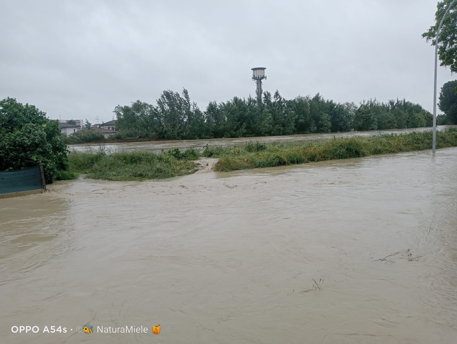 Alluvione in Romagna e bolognese orientale: qui tutte le storie Alluvione_Faenza_01