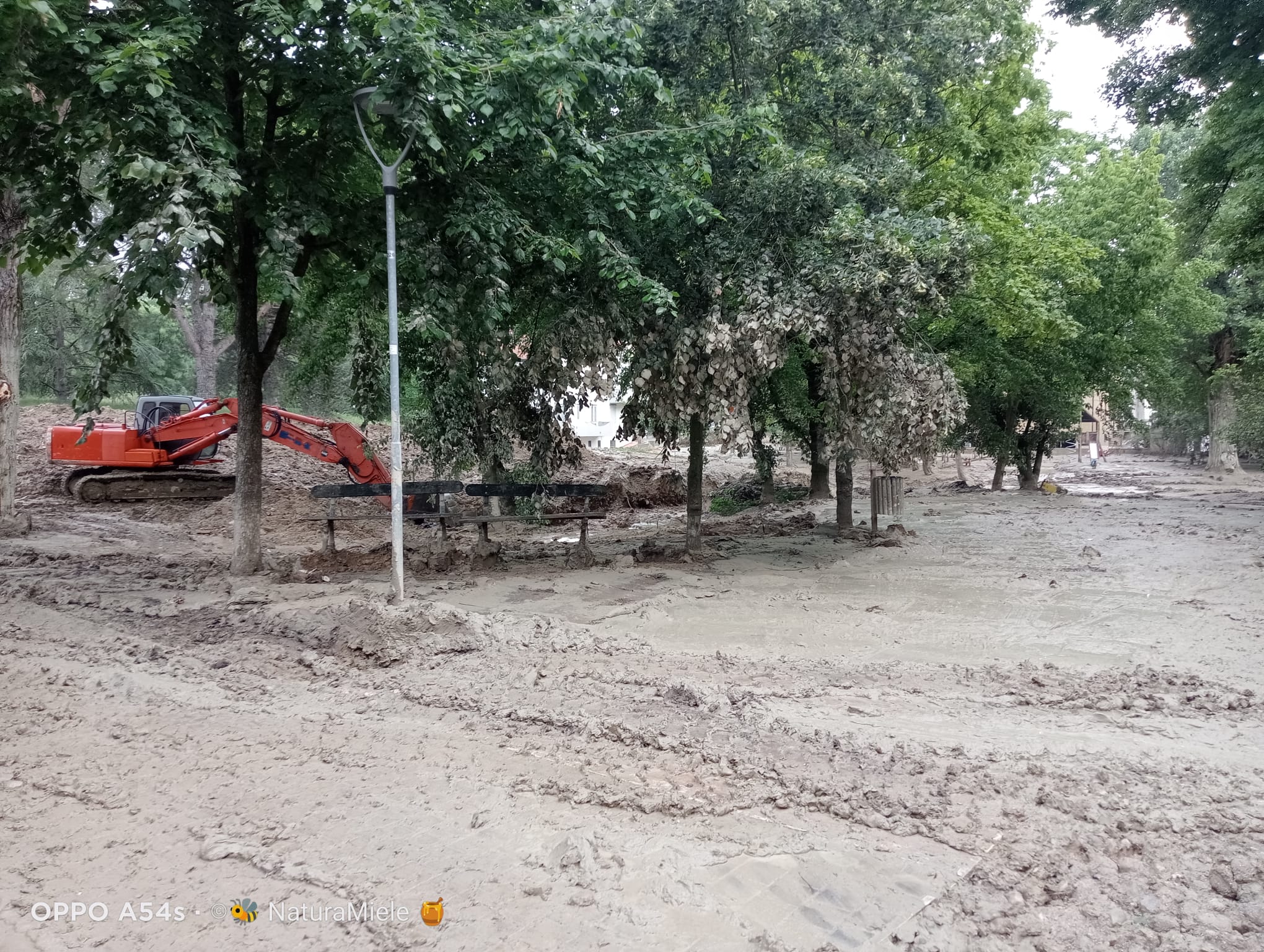 Alluvione in Romagna e bolognese orientale: qui tutte le storie Alluvione_Faenza_17