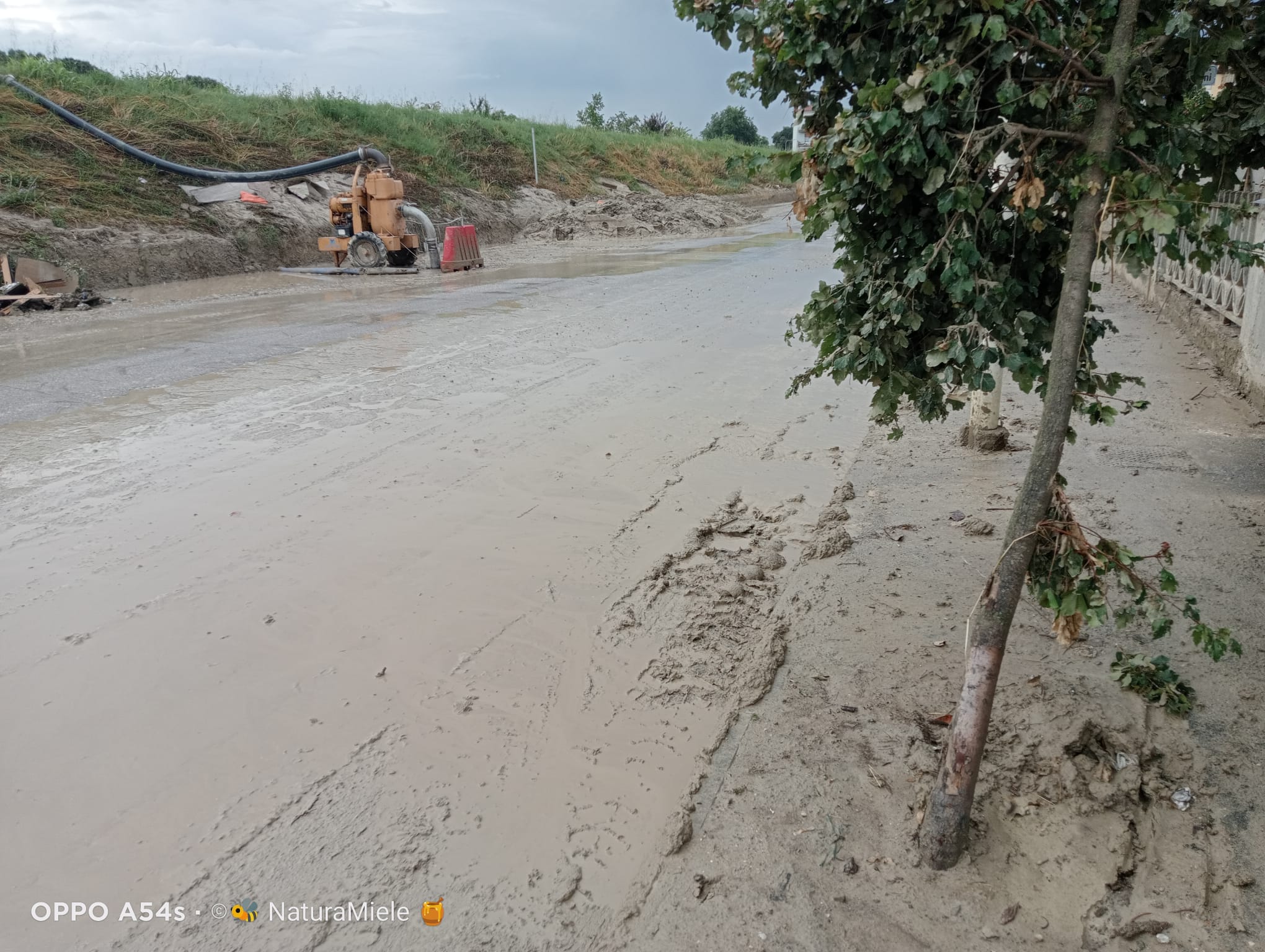 Alluvione in Romagna e bolognese orientale: qui tutte le storie Alluvione_Faenza_20