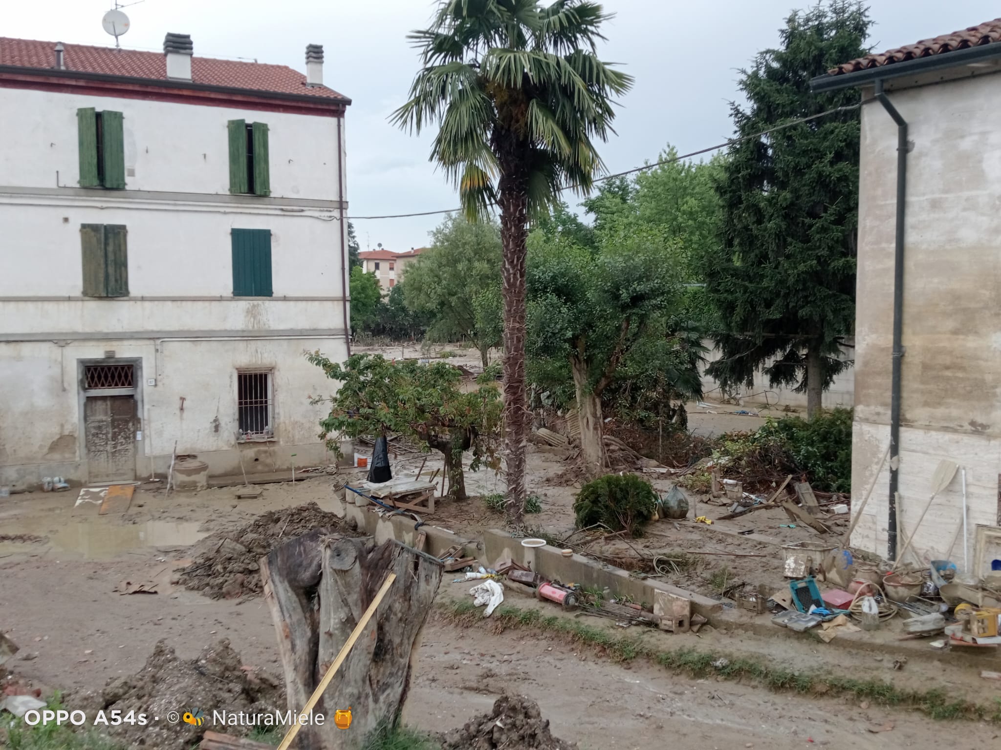 Alluvione in Romagna e bolognese orientale: qui tutte le storie Alluvione_Faenza_22