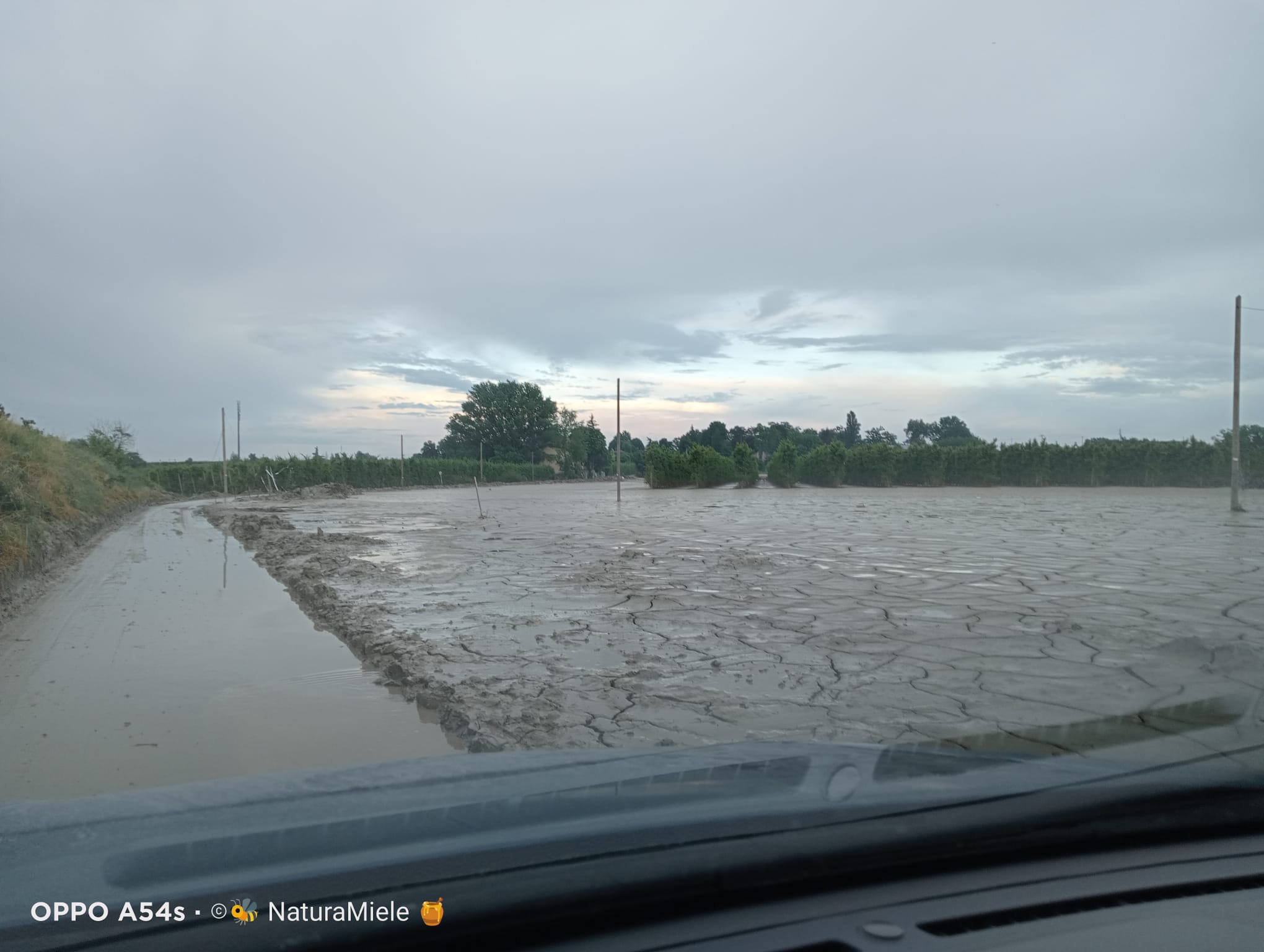 Alluvione in Romagna e bolognese orientale: qui tutte le storie Alluvione_Faenza_28