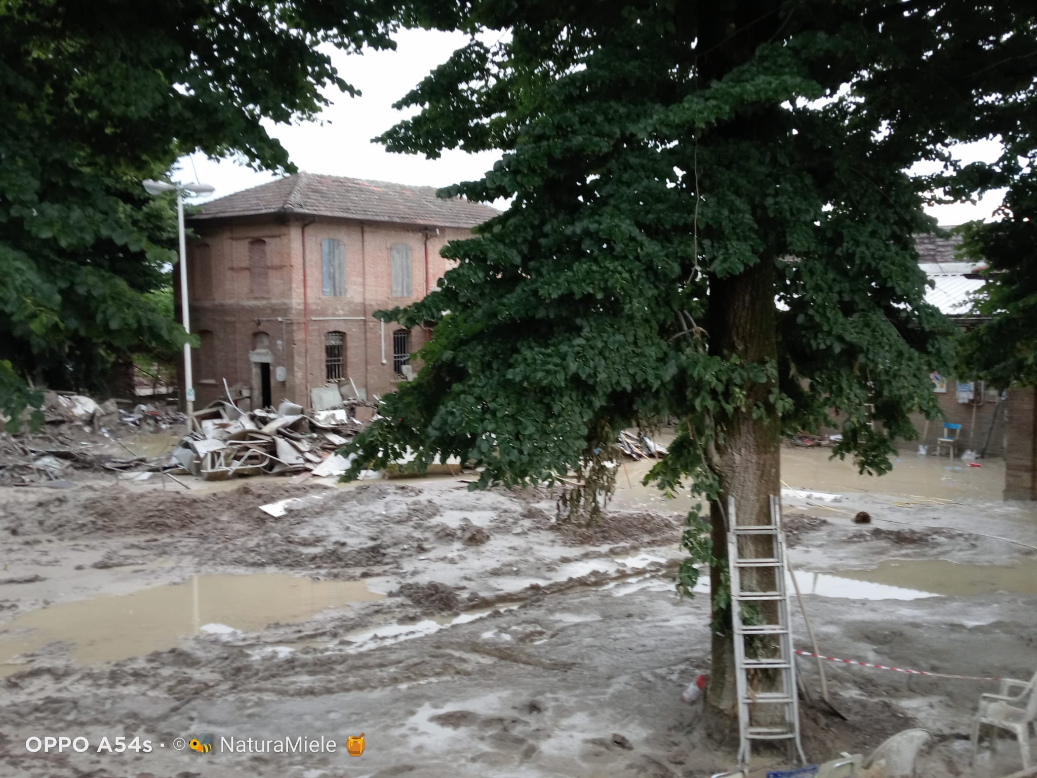 Alluvione in Romagna e bolognese orientale: qui tutte le storie Alluvione_Faenza_30