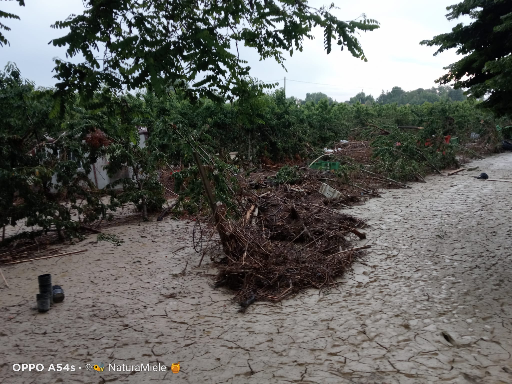 Alluvione in Romagna e bolognese orientale: qui tutte le storie Alluvione_Faenza_31