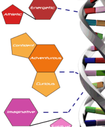 دمية بجينات بشرية Features_DNA2