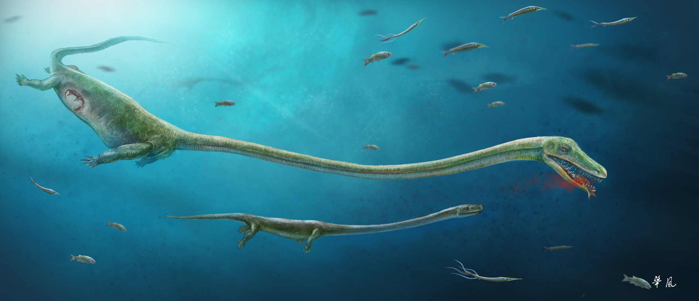 Se ha encontrado un fósil de protosaurio embarazado Une-image-fournie-par-le-magazine-nature-le-9-fevrier-2017-montre-un-dinocephalosaurus-enceinte-attrapant-un-poisson