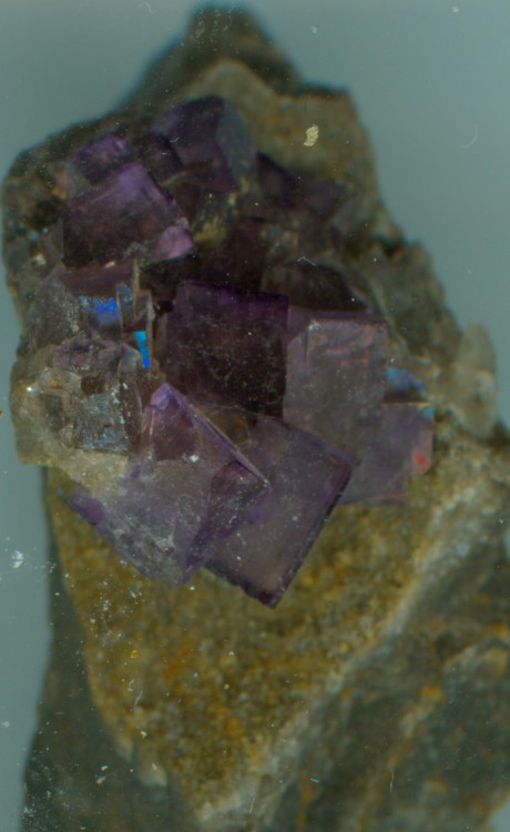 fluorite Bergheim (Alsace) Post-5625-1244402892_thumb