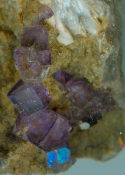 fluorite Bergheim (Alsace) Post-5625-1244403342_thumb