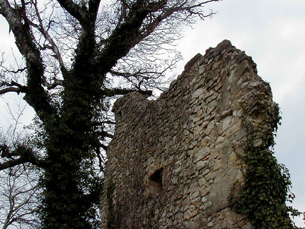 La ruine et le vieil arbre Ruine_600_4-3