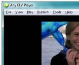 Any FLV Player 2.4.0 4175