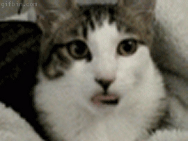 EL MEJOR GIF ANIMADO V 4.0 1274086680_cat-suckling-air