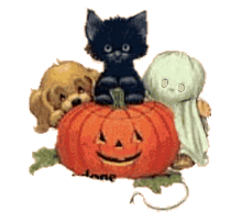 Halloween-Verlosung Animierte-gifs-kuerbisse-16