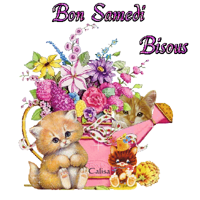 Bonjours-et-bonne-nuit-du-moi-d'Avril-2024 - Page 2 Bon-samedi-bisous-avec-minou-2