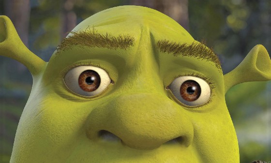 grand menage de printemps Shrek-gifs-animes-240814