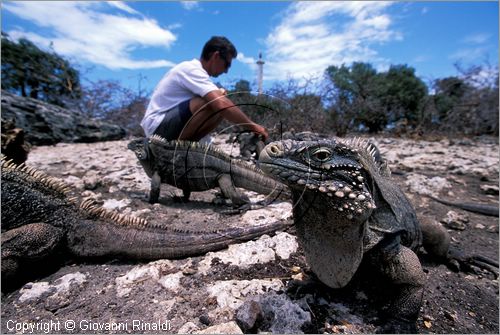 Cayo Piedra, Si primera vez, fotos desde tierra. Cuba_canarreos0087