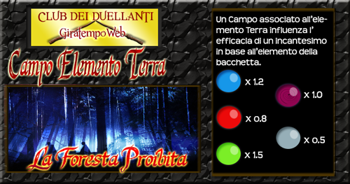 Club dei Duellanti - Campi Campo_Terra1