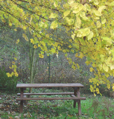 [Rouverture] Buvette du Parc (Buvettes L&P S.A.) Table%20pique%20nique%2080x80