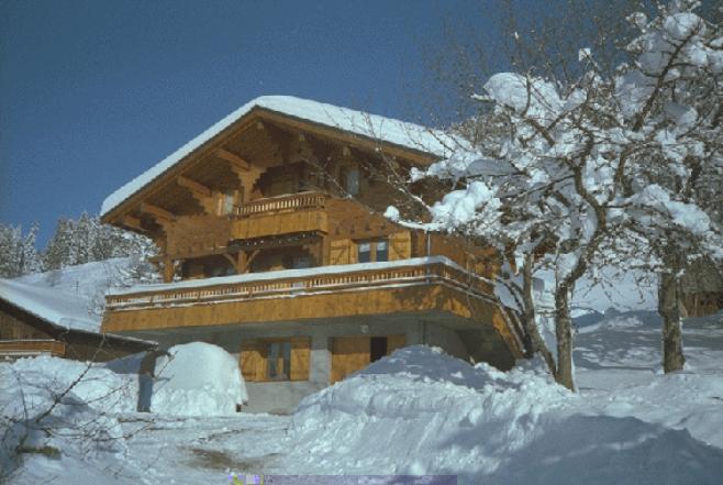 jeux des souhaits - Page 3 Grand_chalet