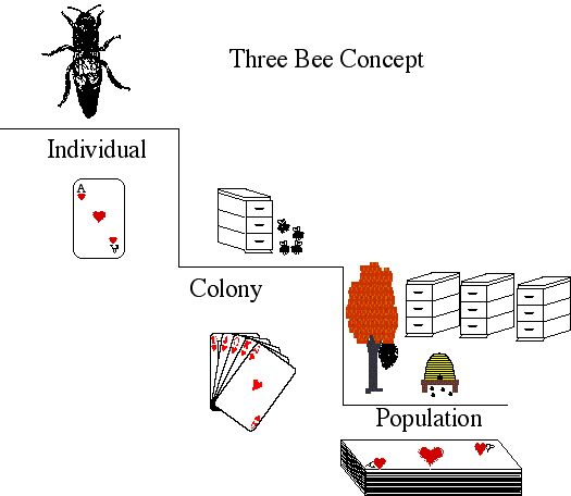 النحلة   Bee Levels