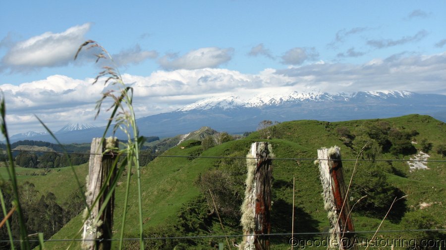 Hobbits and Bobbits_NZ North Island _Nov. 2012  Goodie_NZ12_0027